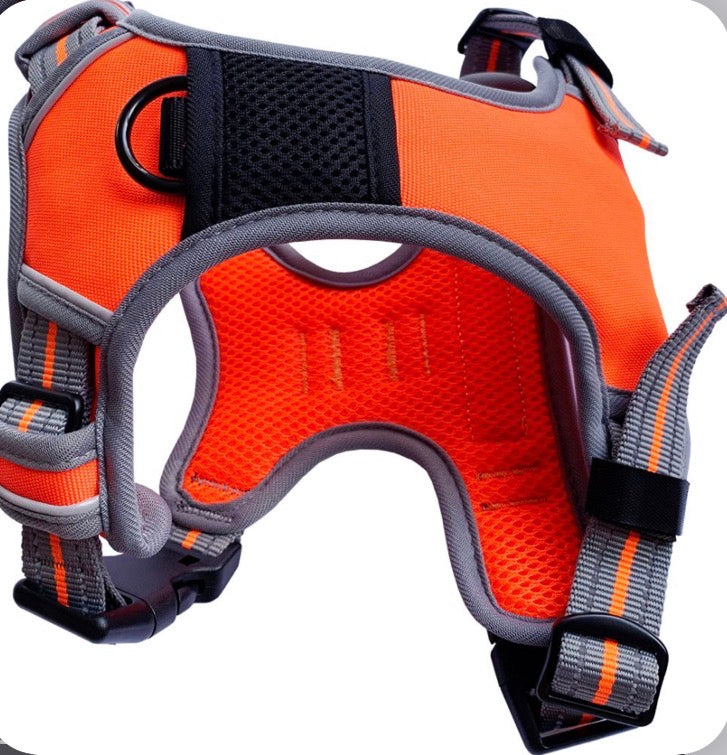 Hemm And Boo Sports Harness