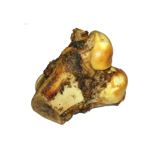 Dog Bone