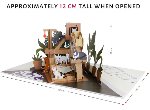 Cardology - Handmade Pop Up Cards