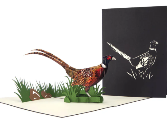 Cardology - Handmade Pop Up Cards