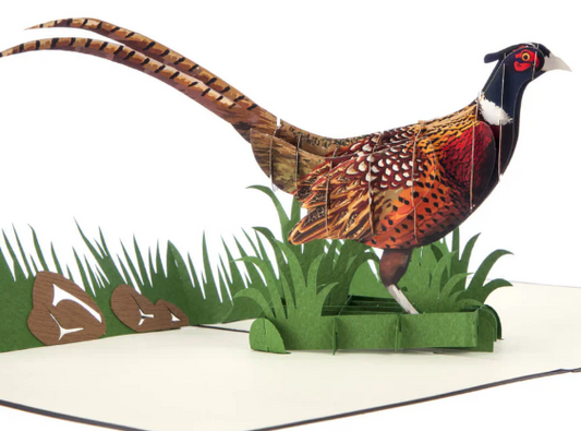 Cardology - Handmade Pop Up Cards