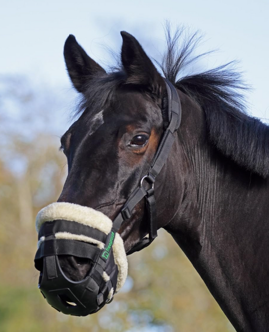 Shires Freegraze Grazing Muzzle - Black