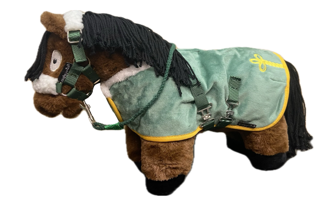 Crafty Ponies - Deluxe Rug Set