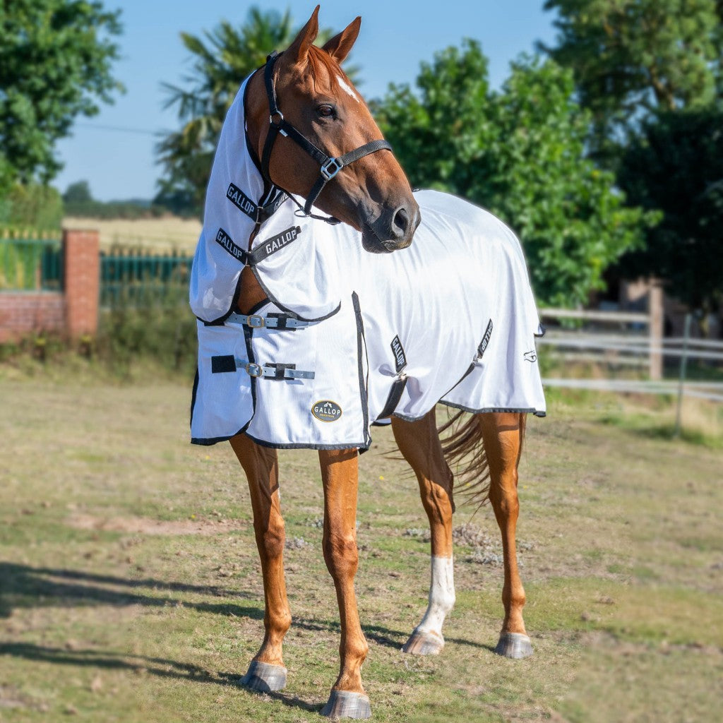 Gallop Equestrian Classic White Combo Fly Rug