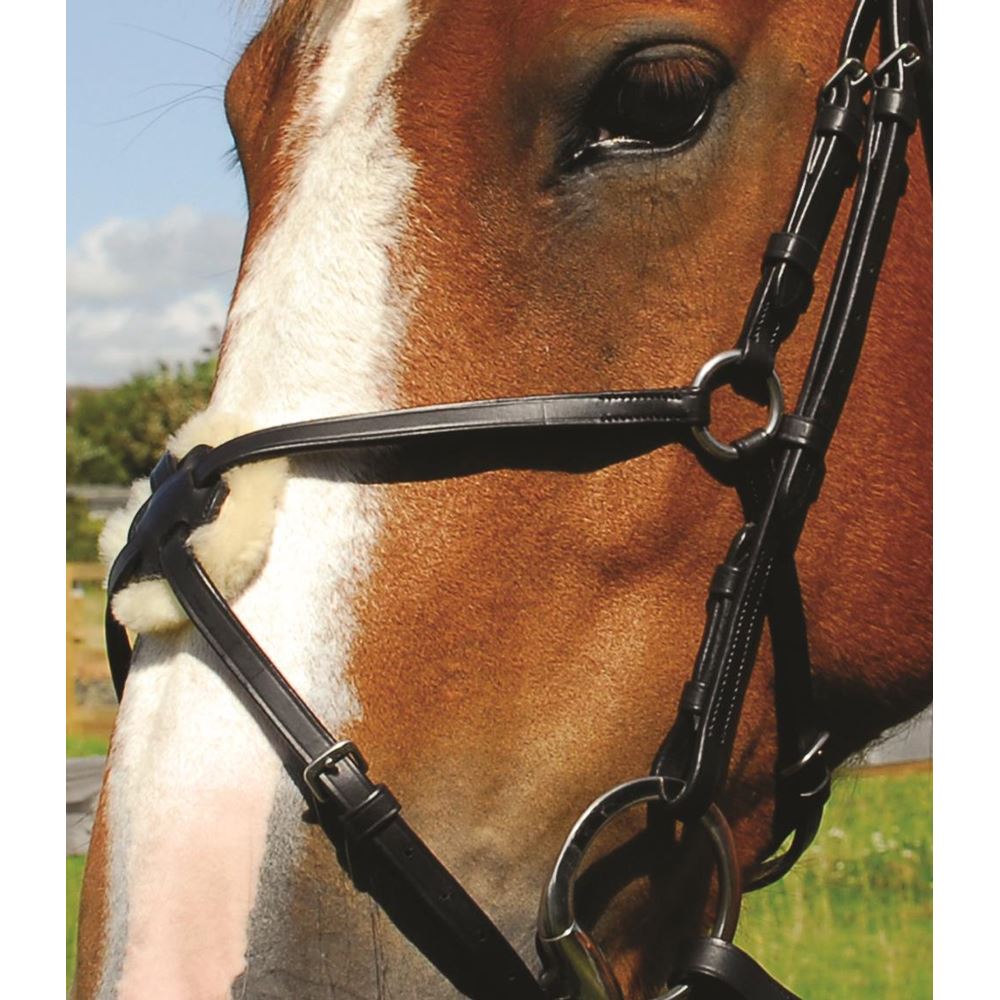 Rhinegold Heritage Havana Mexican Bridle