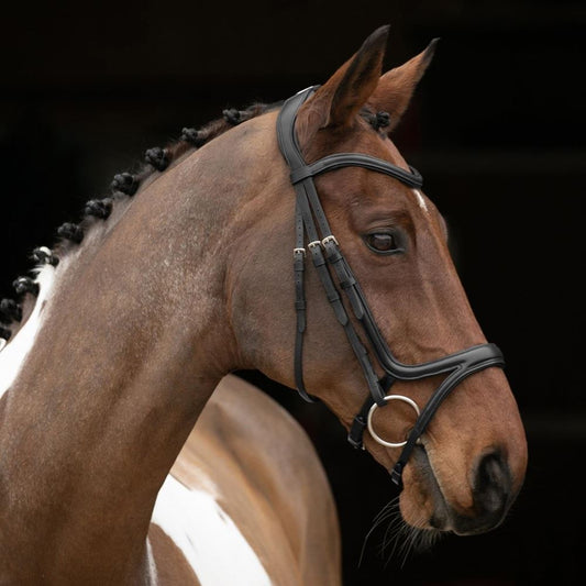 Shires Velociti Rapida Black Comfort Flash Bridle