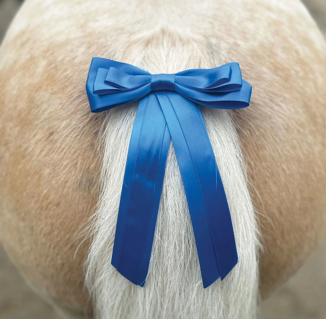 Equetech Horse Competion Warning Tail Ribbon - One Size