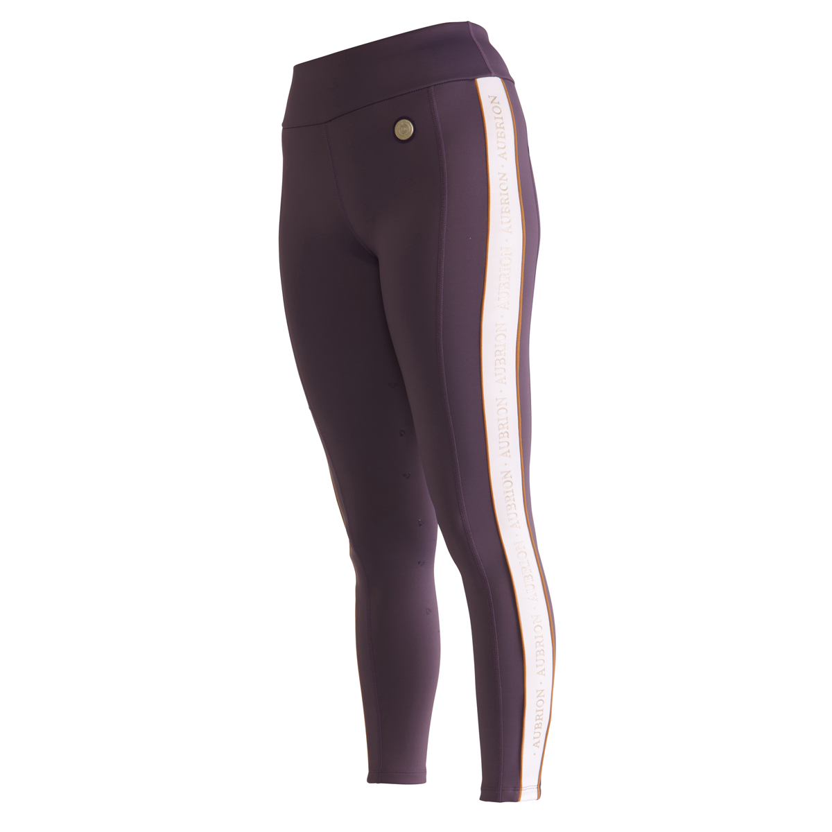 Shires Aubrion Grey Team Shield Riding Tights