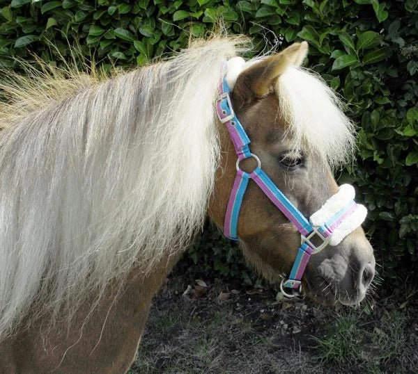 Rhinegold Turquoise Bright Striped Fur Trim Headcollar