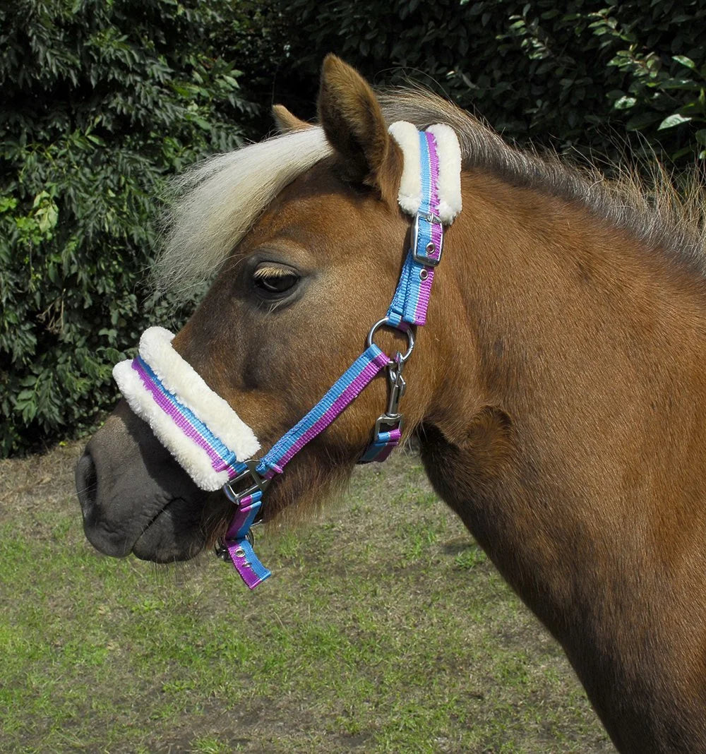 Rhinegold Turquoise Bright Striped Fur Trim Headcollar