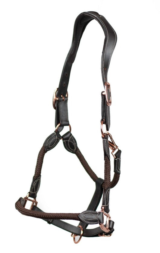 Cameo Anatomical Brown Leather Headcollar