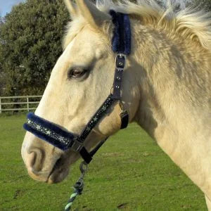 Rhinegold Crystal Star Green/Navy Headcollar & Leadrope