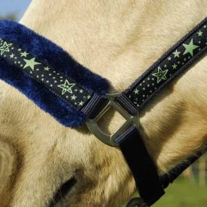 Rhinegold Crystal Star Green/Navy Headcollar & Leadrope