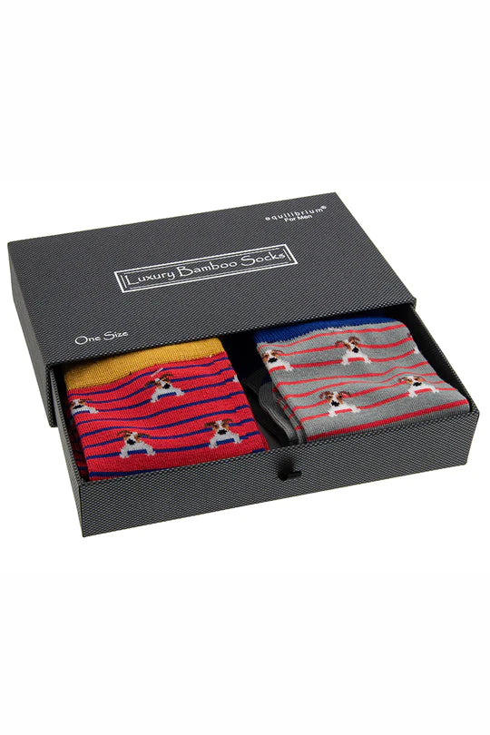 Equilibrium Mens 'Pooch' Luxury Bamboo Socks Gift Box