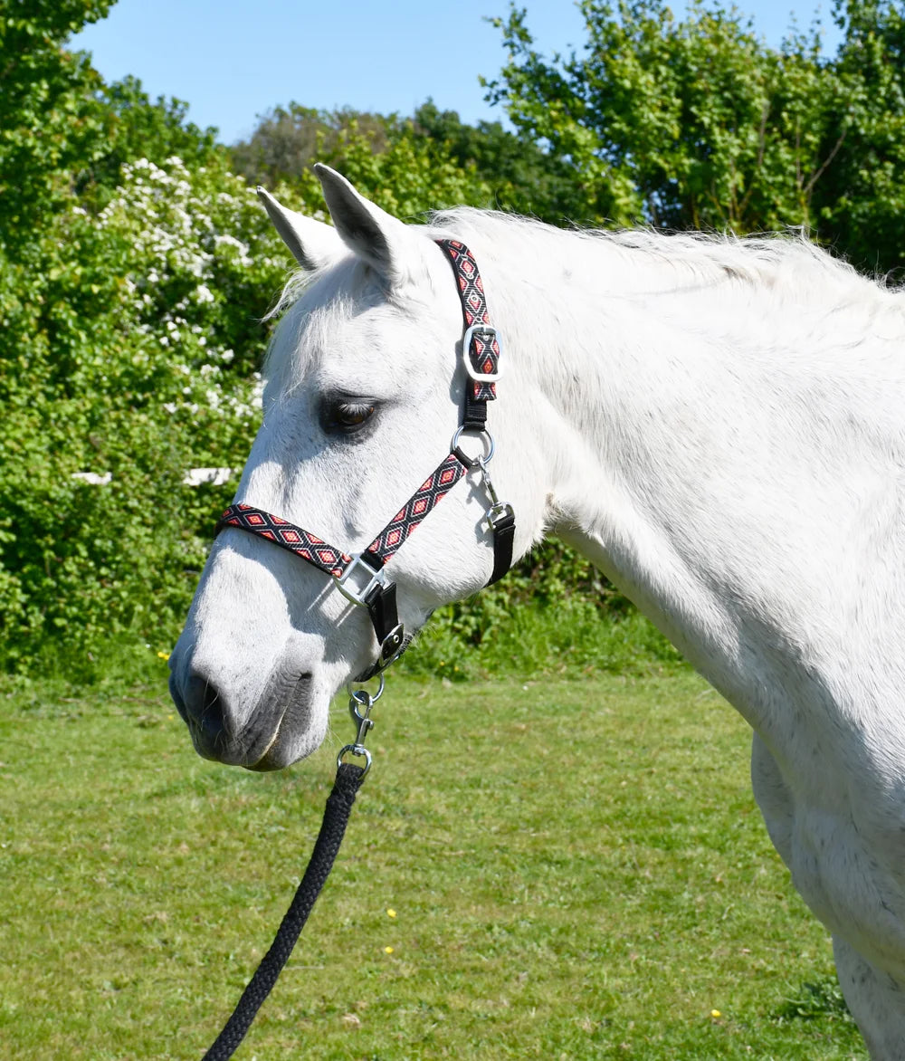 Rhinegold Diamond Pattern Navy Headcollar & Leadrope