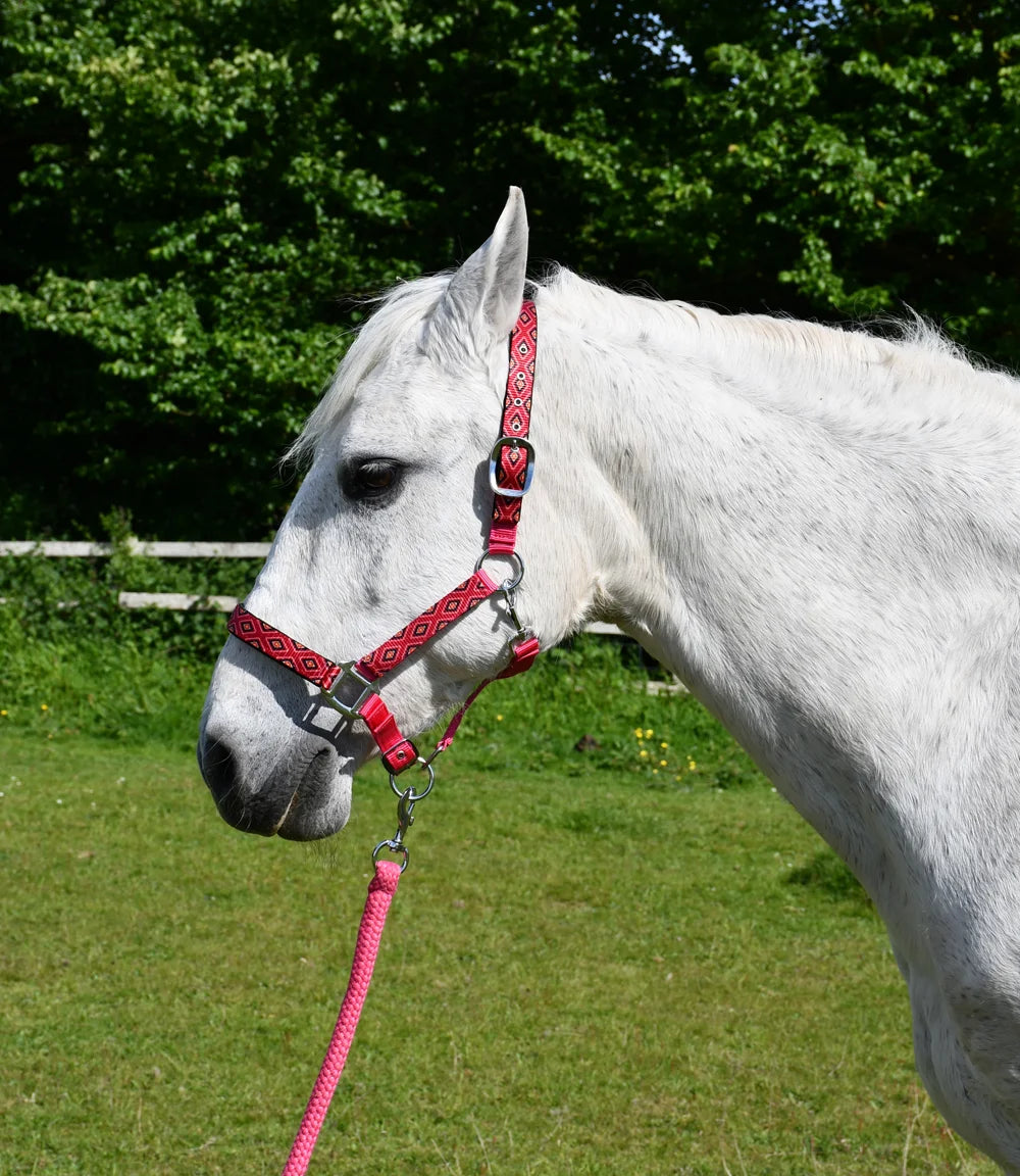 Rhinegold Diamond Pattern Pink Headcollar & Leadrope