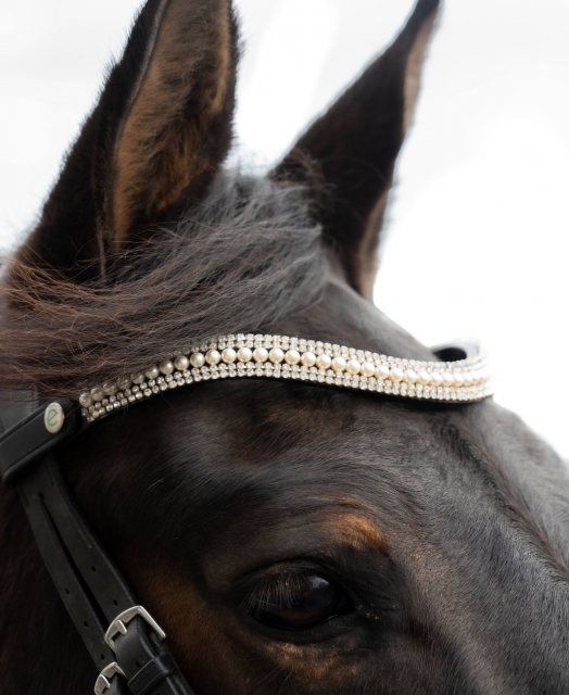 Eco Rider Grace Brown Browband