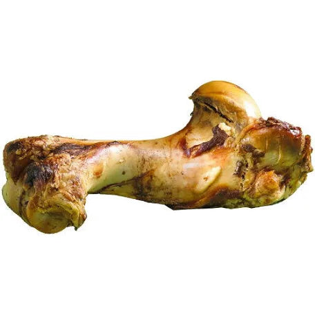 Dog Bone