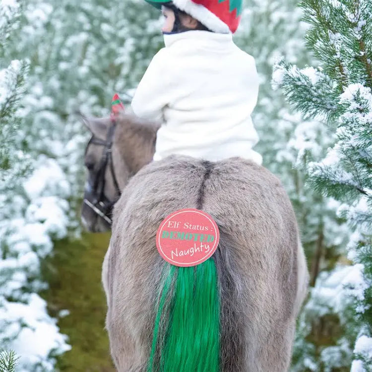 Equetech Cheeky Elf Festive Tail Tassle