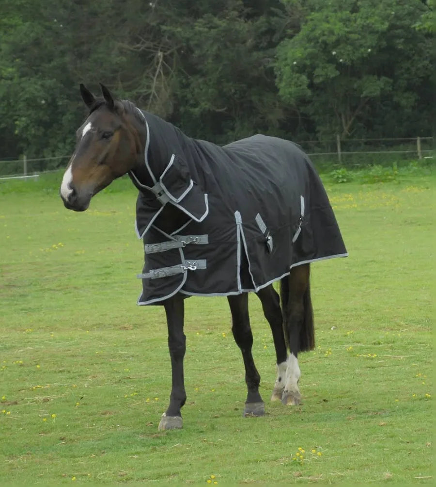 Rhinegold Konig Rugs Black 200g