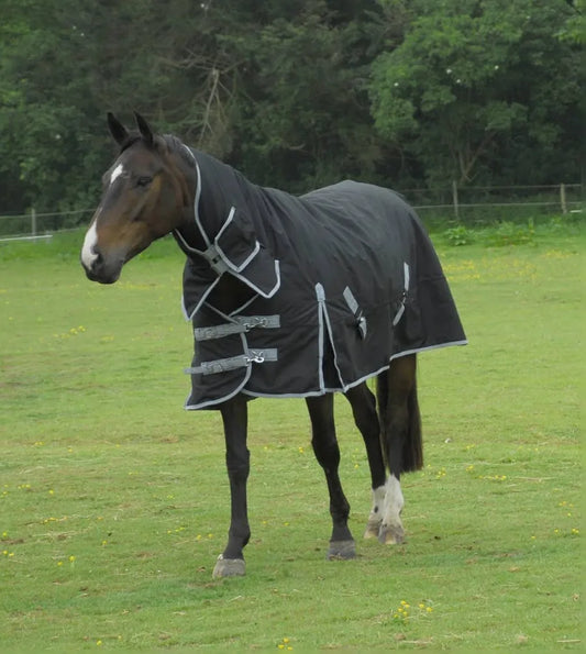 Rhinegold Konig Rugs Black 200g