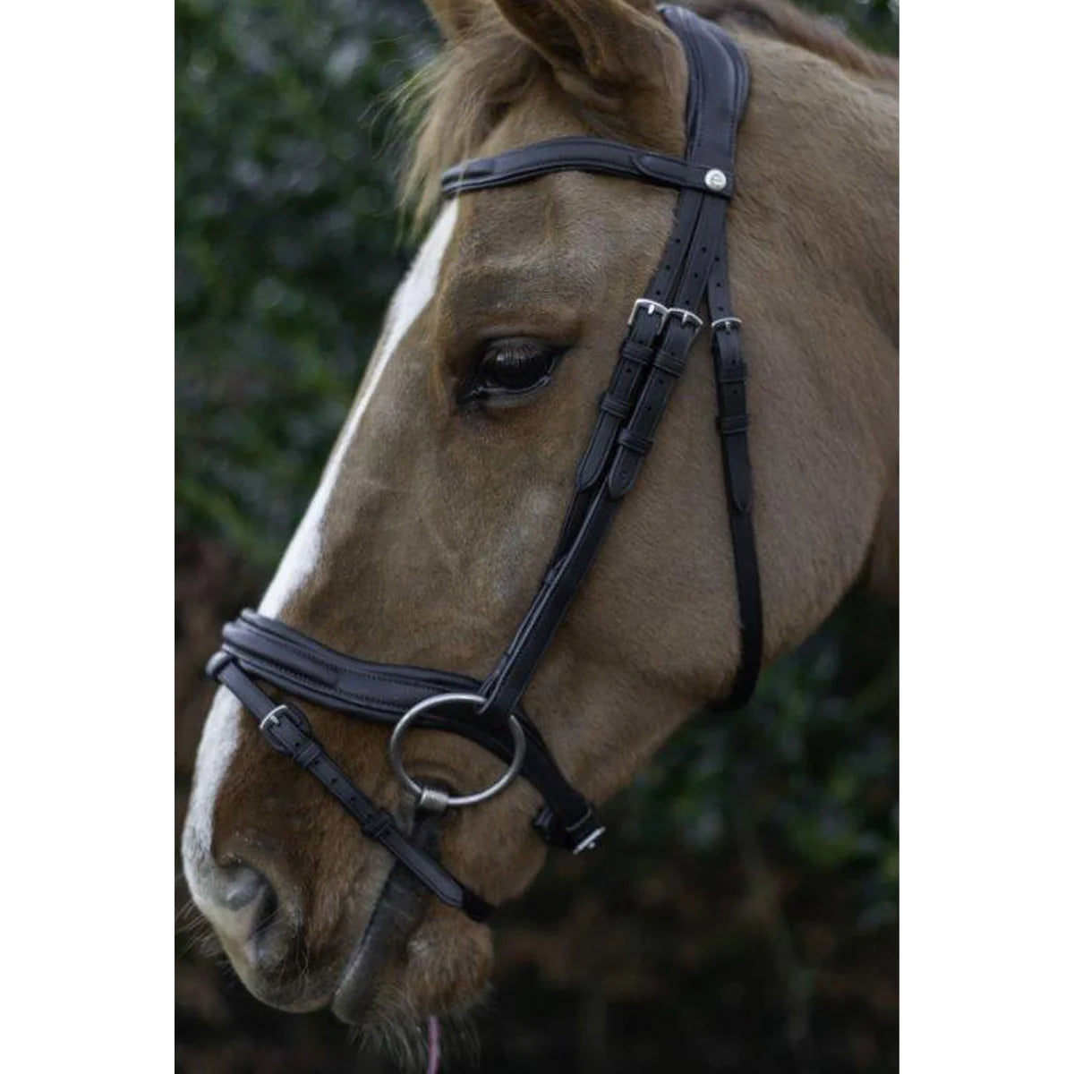 Eco Rider Ultra Comfort Kilkenny Brown Bridle