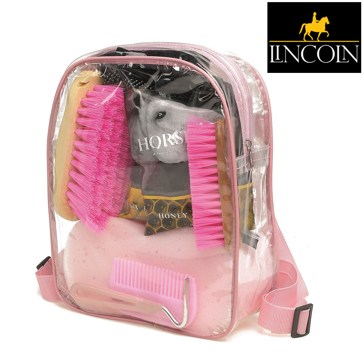 Lincoln Pink Treat Bag