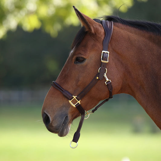 4251 Shires Lusso Soria Control Leather Headcollar Havana