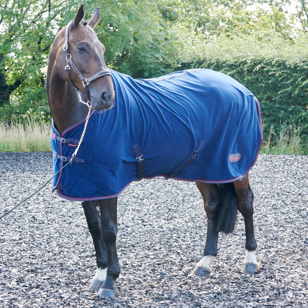 Whitaker Rastrick Reflective Navy Fleece Rug