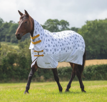Shires Tempest Original Dandelion Fly Combo
