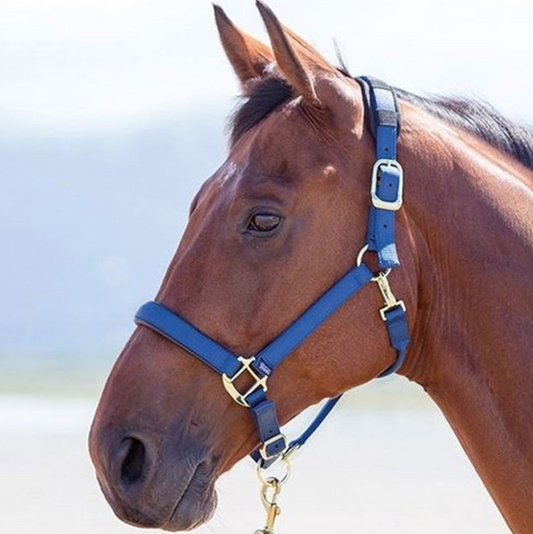 Shires Topaz Nylon Headcollar - Navy - Spony