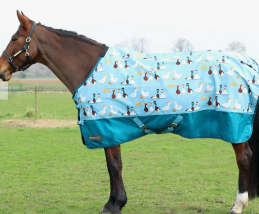 Hy Equestrian Storm X Original "ay Up Duck" 50G Turnout Rug