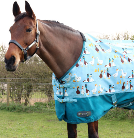 Hy Equestrian Storm X Original - "aye Up Duck" - 0G Turnout Rug