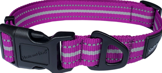Hem And Boo Sports Collar
