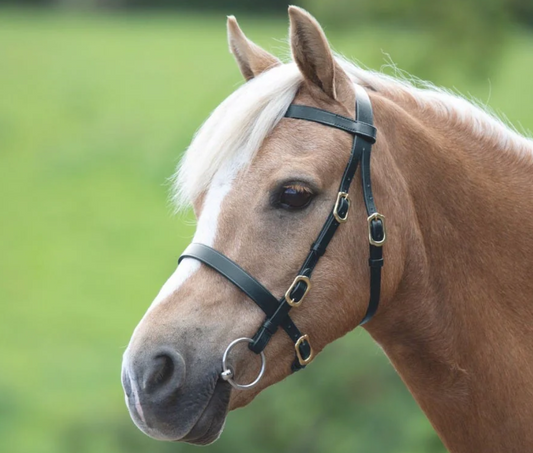 Shires Velociti Gara Plain Inhand Bridle Black