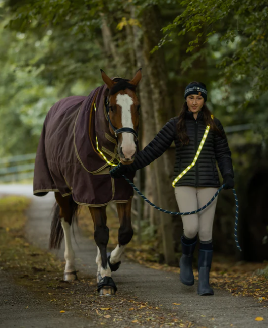 Woof Wear Led Sash Horse Or Rider Medium