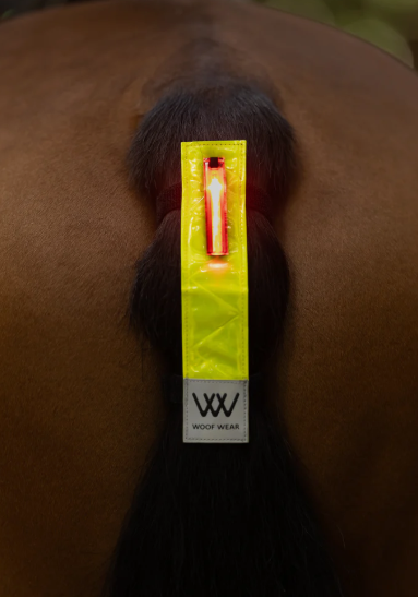 Woof Wear HiVis LED Tail Light Medium