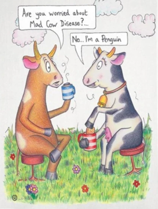 Draw Tea Towel - Various Designs