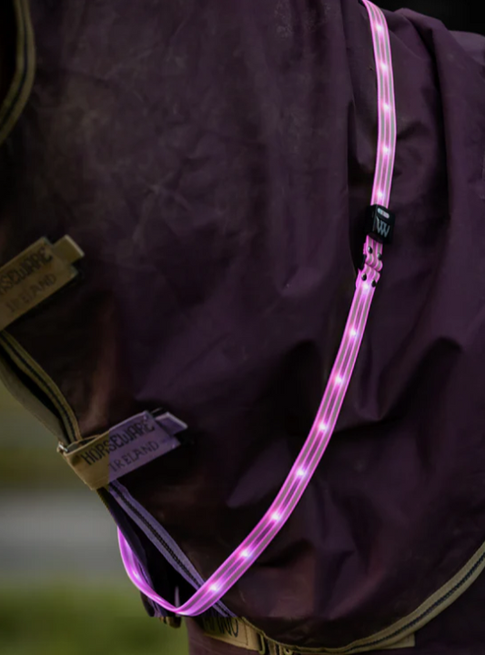 Woof Wear Led Sash Horse Or Rider Medium
