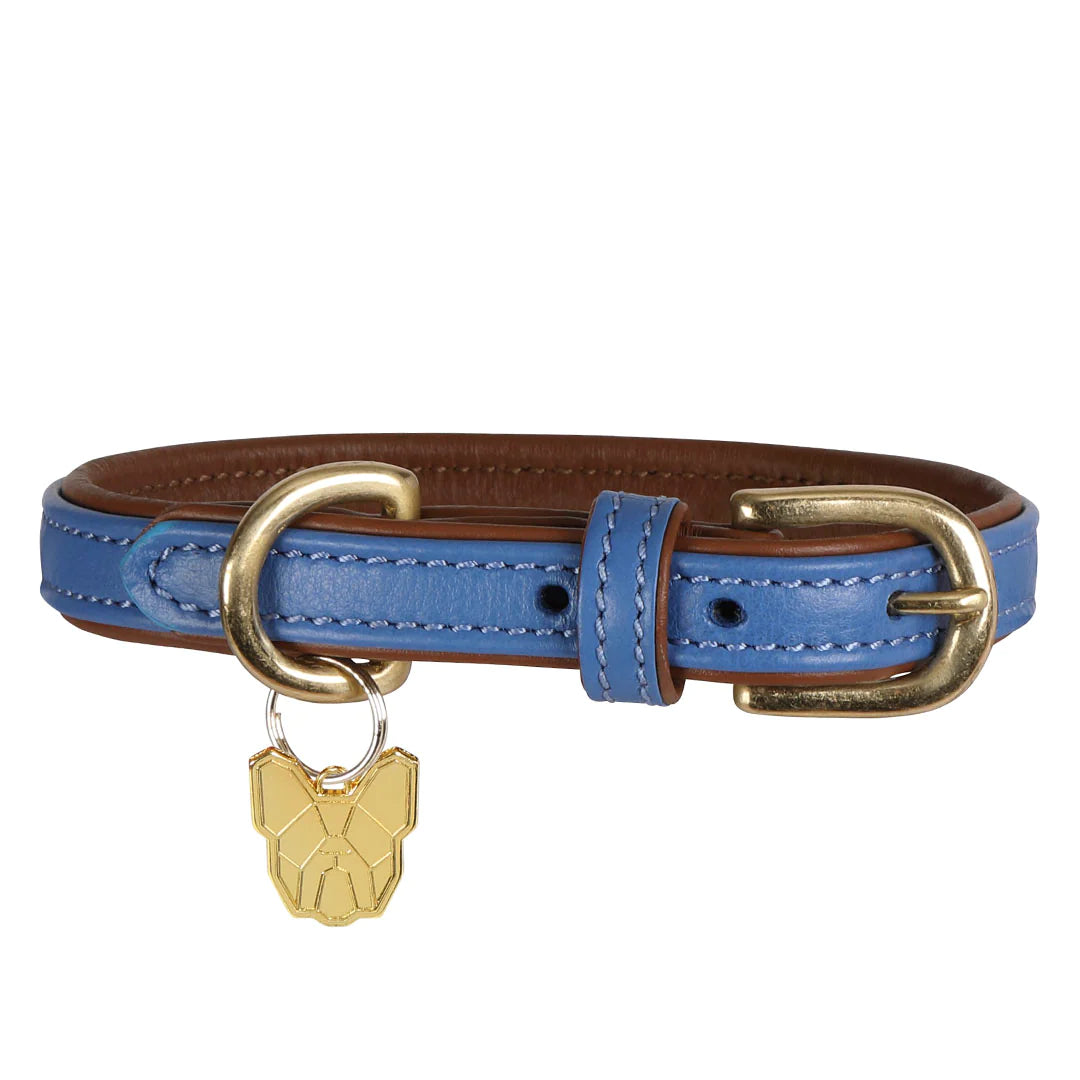 Shires Digby & Fox Padded Blue Dog Collar