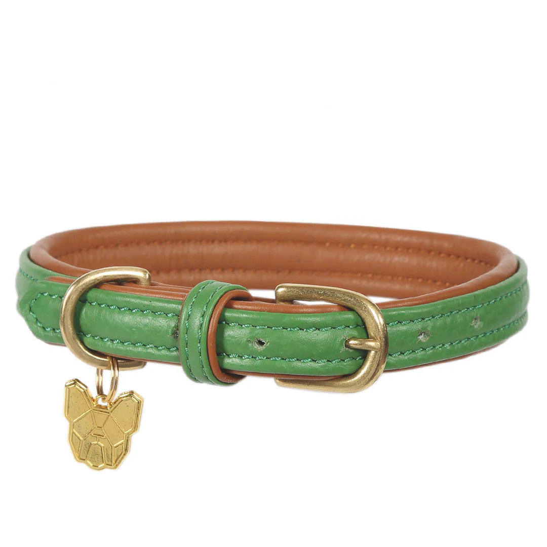 Shires Digby & Fox Padded Green Dog Collar