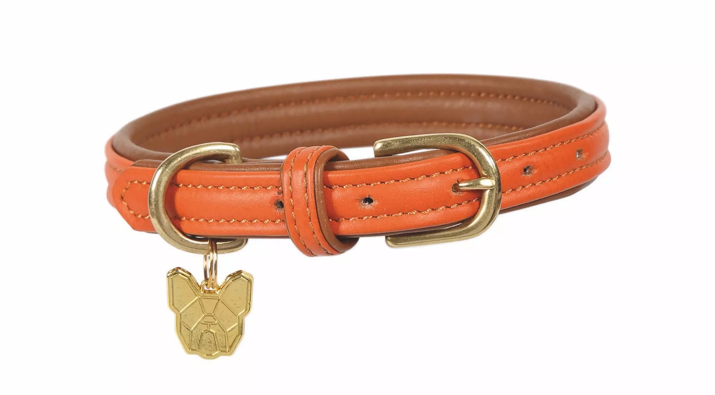 Shires Digby & Fox Padded Orange Dog Collar