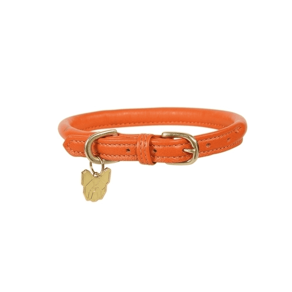 Shires Digby & Fox Rolled Orange Dog Collar