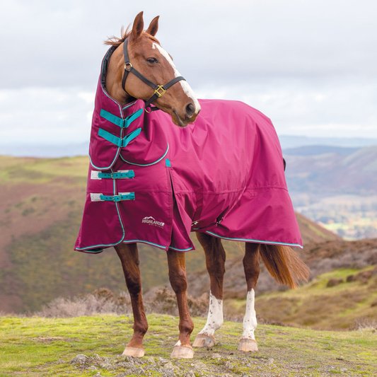 Shires Highlander Original 300g Raspberry Combo Turnout Rug