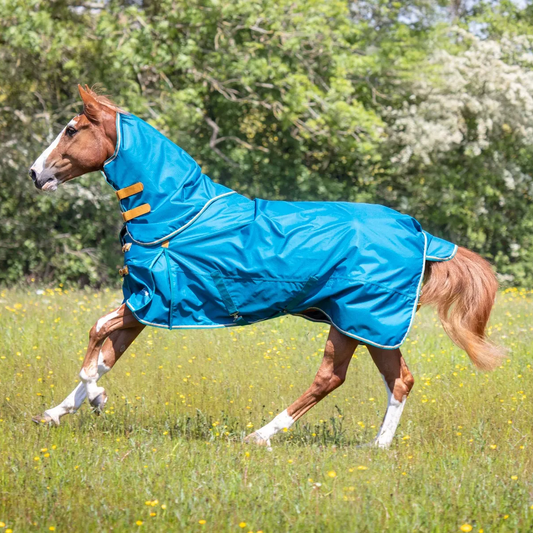 Shires Highlander Original Lite Rug & Neck Teal Turnout Rug