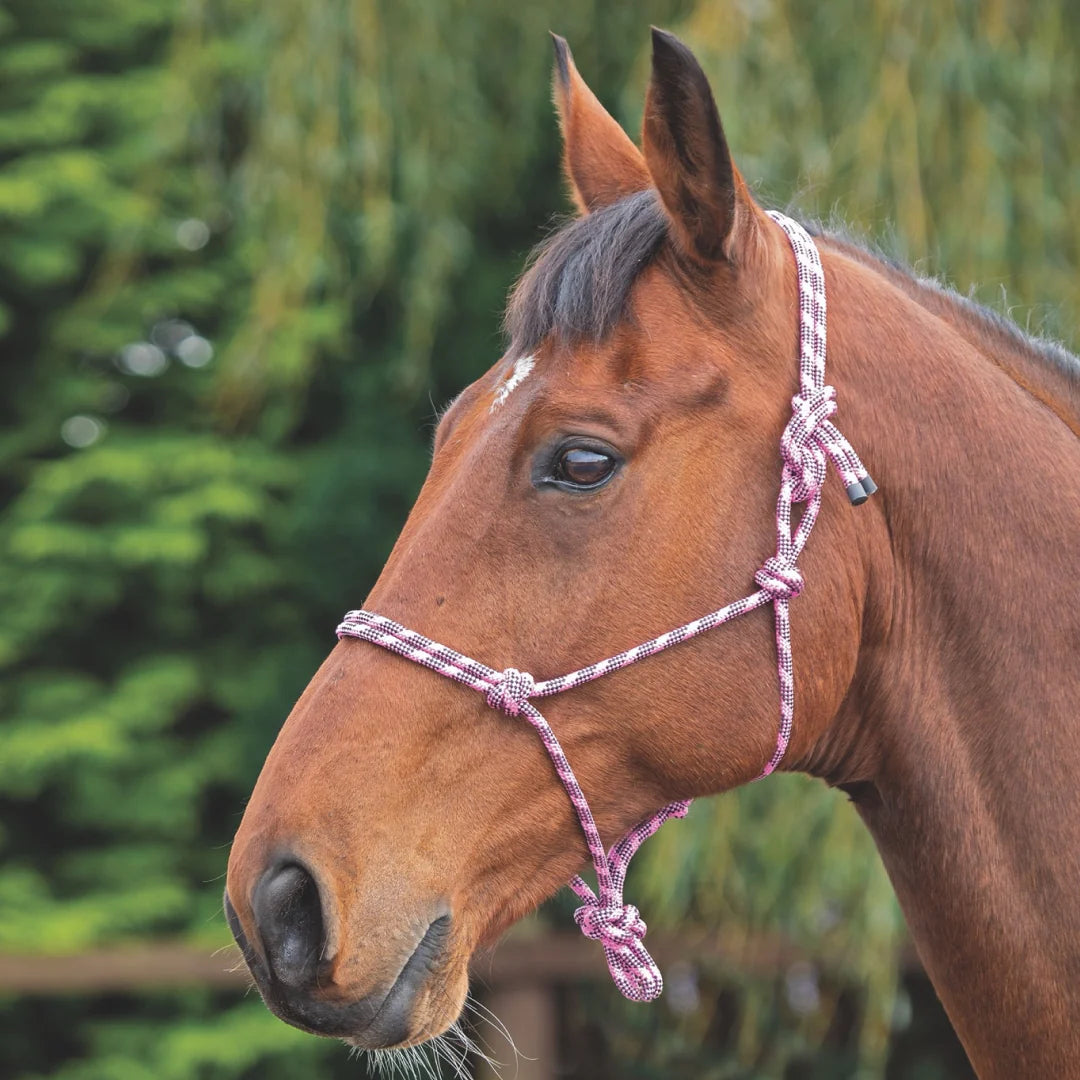 Shires Rope Control Headcollar