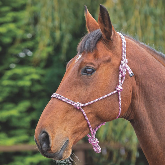 Shires Rope Control Headcollar