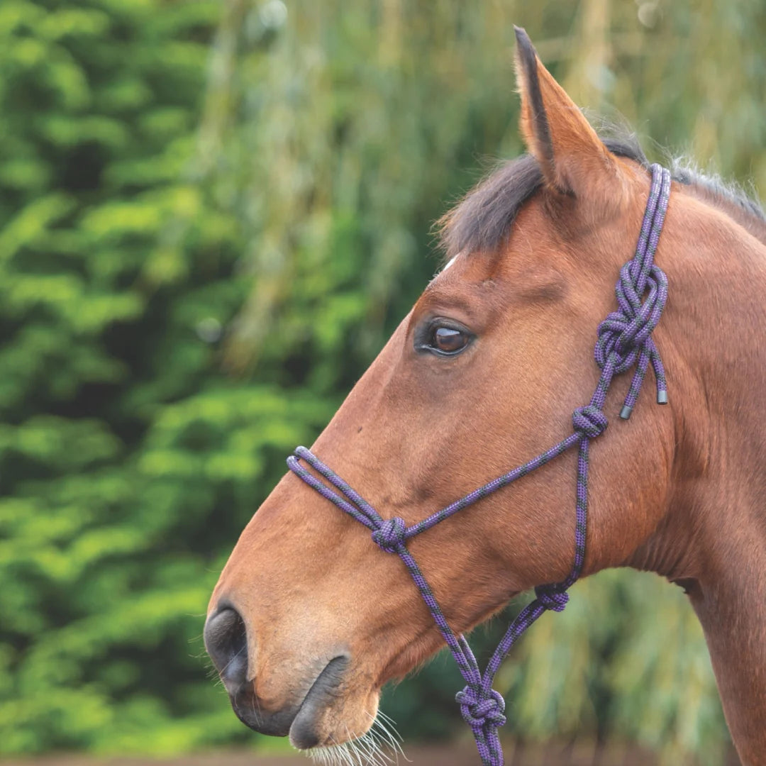 Shires Rope Control Headcollar