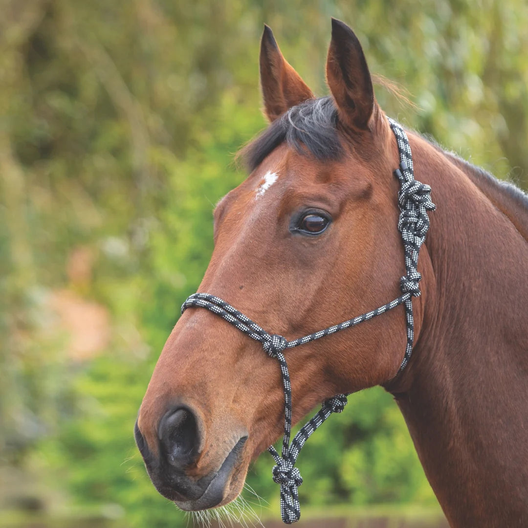 Shires Rope Control Headcollar