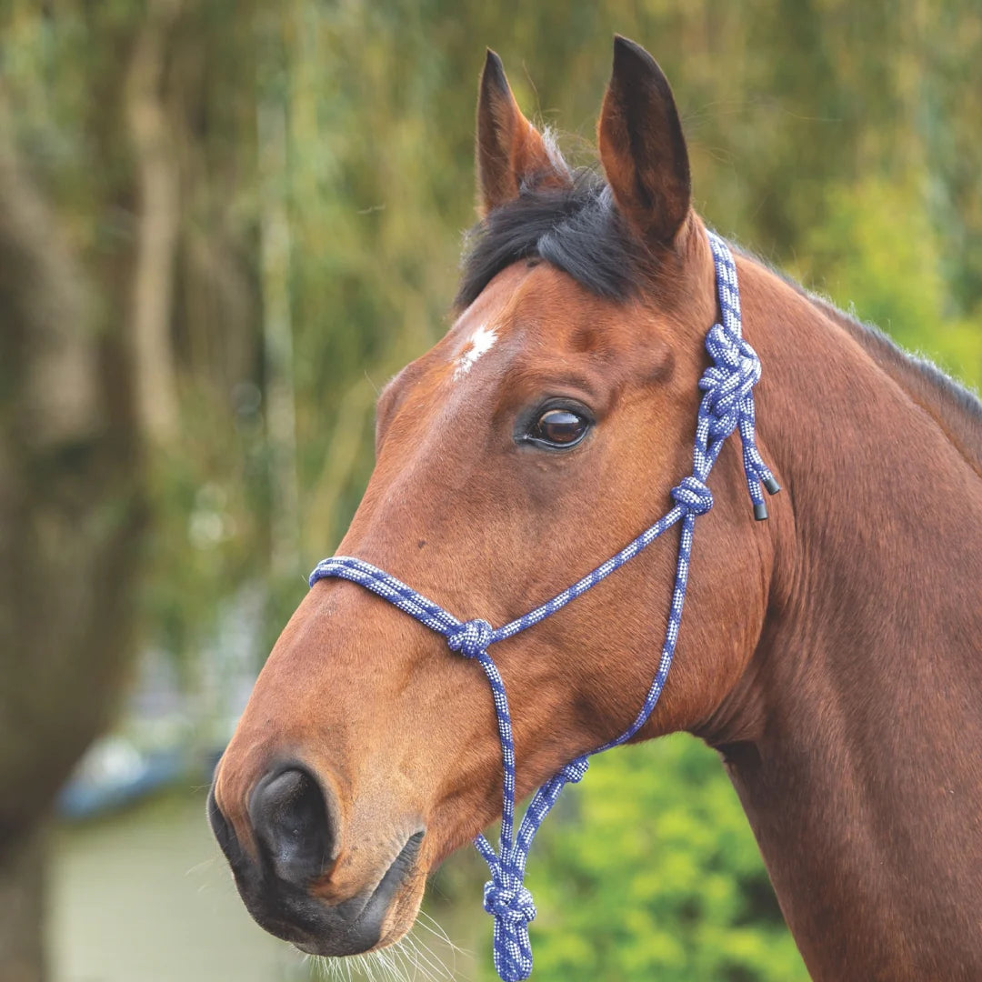 Shires Rope Control Headcollar